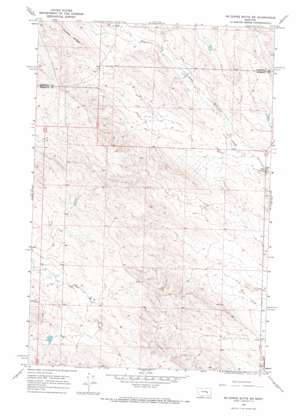 Mcginnis Butte Sw topo map