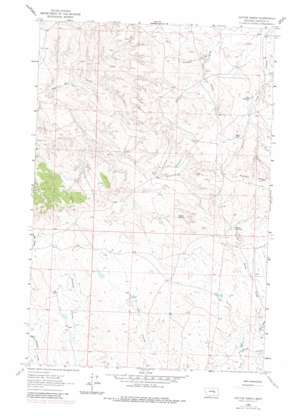 Dutton Ranch USGS topographic map 46107h6