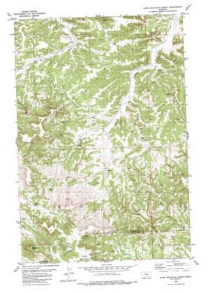 Dunn Mountain North USGS topographic map 46108c3