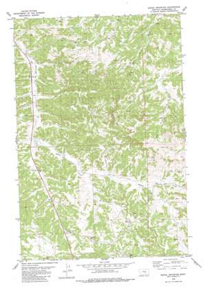 Signal Mountain USGS topographic map 46108c4