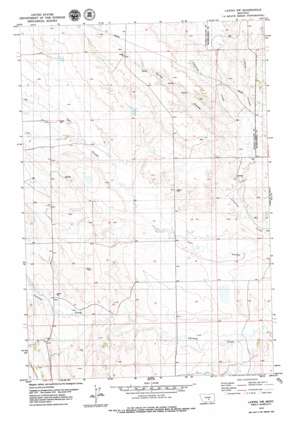 Lavina NW USGS topographic map 46108d8
