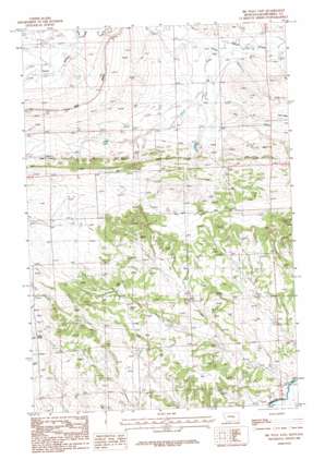 Big Wall East USGS topographic map 46108e3