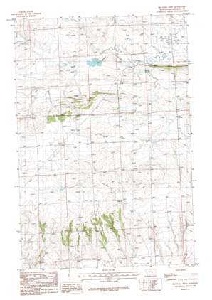 Big Wall West topo map