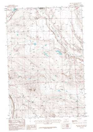 Big Wall NW USGS topographic map 46108f4