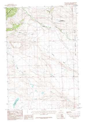 Devils Hole Lake USGS topographic map 46108f8
