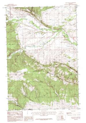 Bald Butte topo map