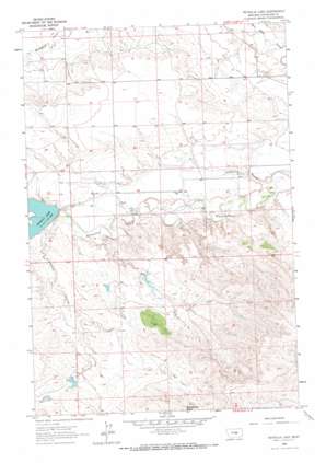 Petrolia Lake USGS topographic map 46108h2