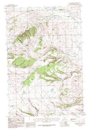 Briggs Coulee USGS topographic map 46108h6