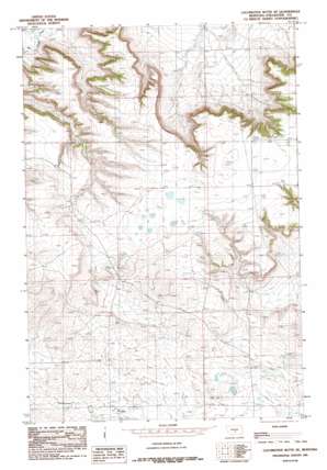 Locomotive Butte Se USGS topographic map 46109a3