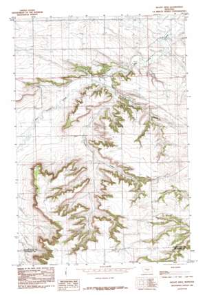 Mount Sinai topo map
