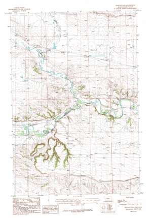 Ryegate East USGS topographic map 46109c2