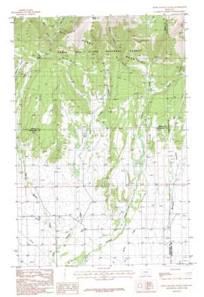 Snow Saucer Coulee topo map