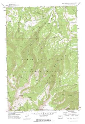 Half Moon Canyon USGS topographic map 46109g3