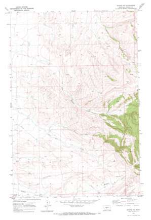 Moore SW USGS topographic map 46109g6