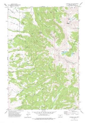 Campfire Lake USGS topographic map 46110a4