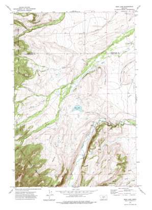 Rein Lake USGS topographic map 46110b2