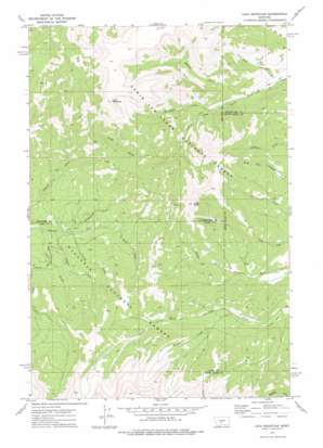 Loco Mountain USGS topographic map 46110b3