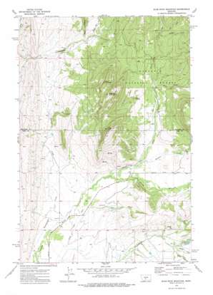 Fairview Peak USGS topographic map 46110b5