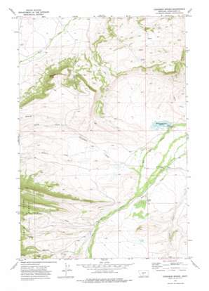 Cinnamon Spring USGS topographic map 46110c2