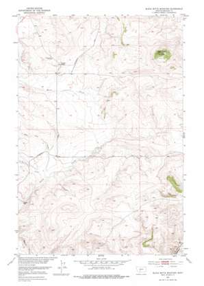 Black Butte Mountain topo map