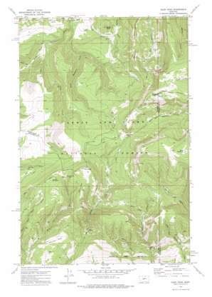 Daisy Peak USGS topographic map 46110f3