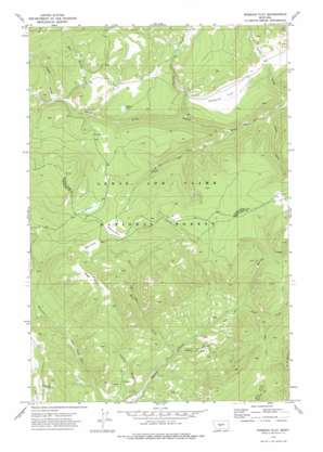 Russian Flat USGS topographic map 46110f4