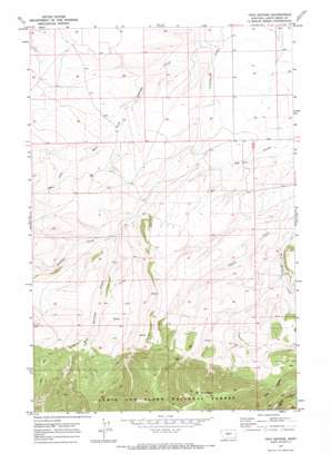 Twin Sisters USGS topographic map 46110g1