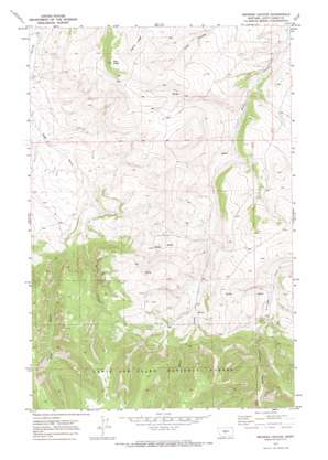 Browns Canyon USGS topographic map 46110g2