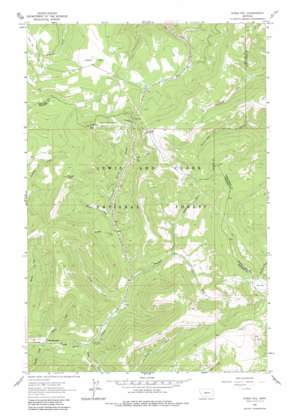Kings Hill topo map