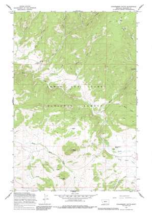 Strawberry Butte USGS topographic map 46110g8