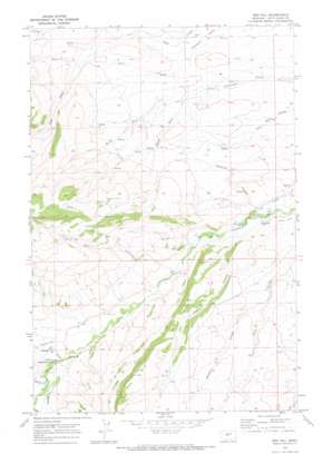 Red Hill USGS topographic map 46110h2