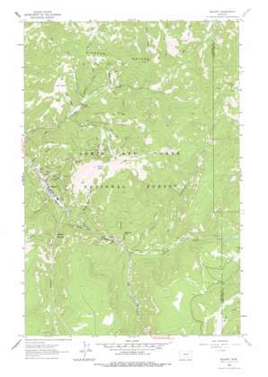 Neihart USGS topographic map 46110h6