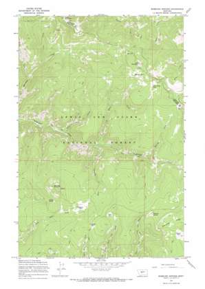 Bubbling Springs topo map