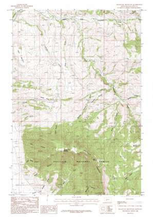 Blacktail Mountain USGS topographic map 46111a1