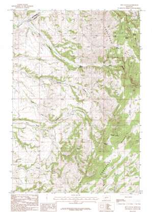 Roy Gulch USGS topographic map 46111a3