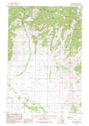 Tacoma Park USGS topographic map 46111b8