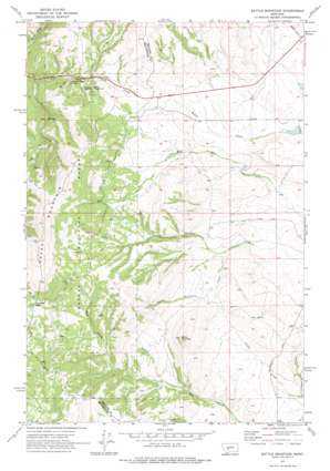Battle Mountain USGS topographic map 46111c1