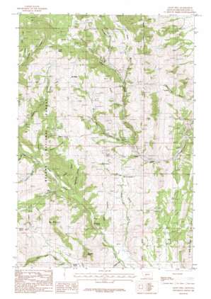 Giant Hill topo map