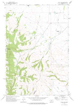 Alkali Lake USGS topographic map 46111d1