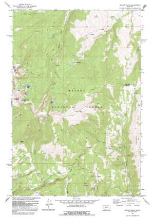 Mount Edith USGS topographic map 46111d2