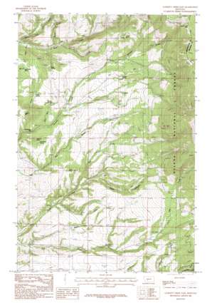 Gurnett Creek East USGS topographic map 46111d3
