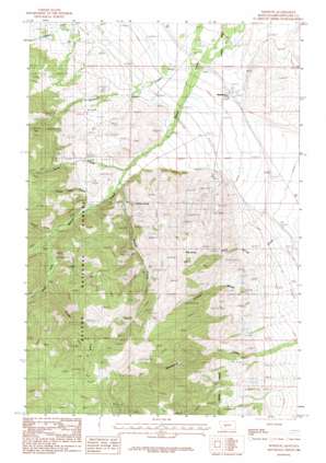 Winston USGS topographic map 46111d6