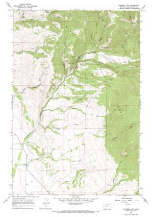 Diamond City USGS topographic map 46111e4