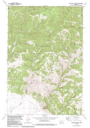 Hellgate Gulch USGS topographic map 46111f5