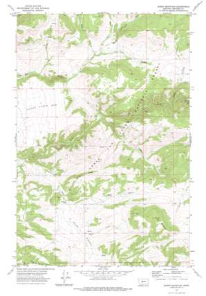 Sheep Mountain USGS topographic map 46111g1