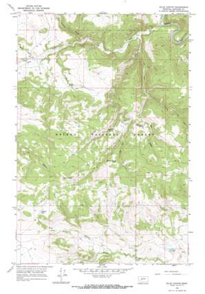 Ellis Canyon USGS topographic map 46111g3