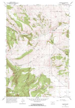 Lingshire topo map