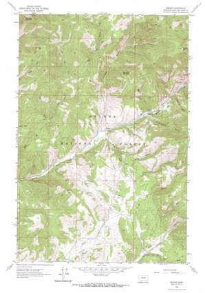 Nelson USGS topographic map 46111g7