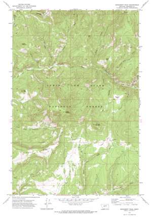 Monument Peak USGS topographic map 46111h1