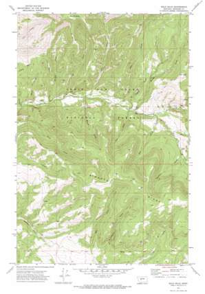 Bald Hills USGS topographic map 46111h2